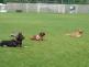 1 DSC00841.JPG