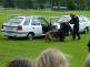 DSCF7885.JPG
