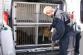 Auto pro psovody/008.JPG