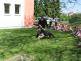 Policie v 15. MŠ 