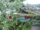 Plandry 7. 6. 2011