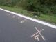 střet cyklistky s autem