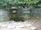 Studánka_LJ (1).jpg