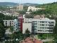 1219137520-n.jpg