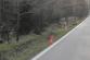 Motocyklista - sjetí do příkopu.jpg