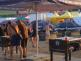 festival_01