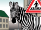 zebra.png