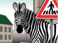 Zebra.png