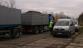 131024_řepa3.jpg