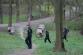 Čistý park 5.JPG