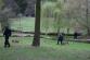 Čistý park 10.JPG