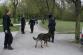 Čistý park 19.JPG