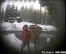 Pachatel 1_pachatel 2(2)