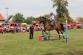 8 IMG_3525.JPG