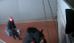 foto 1.png