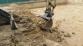 puma_Nebovidy