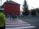 Zebra Rousínov2.JPG