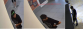 5 Podeřzelý.png