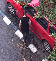 foto 1.png
