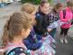 Zebra Jablonec (15)