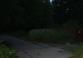 park.jpg