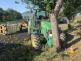 krpp_0368_dndo_2020_jd35.jpg