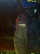foto 4.png
