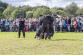 IMG-20220918-WA0017.jpg