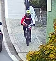 Cyklista1.png