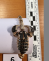 zajištěná věc (10).png