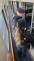 24_BlUE RAD 2025_05.jpg