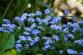 blue-5076131_640.jpg