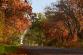 autumn-5704566_1280.jpg