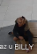 fotografie (3).png