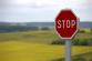 knerri61-stop-634941.jpg