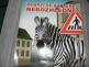 zebra.jpg