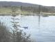 jezero