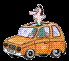auto.gif