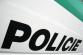 policie na aute1.jpg