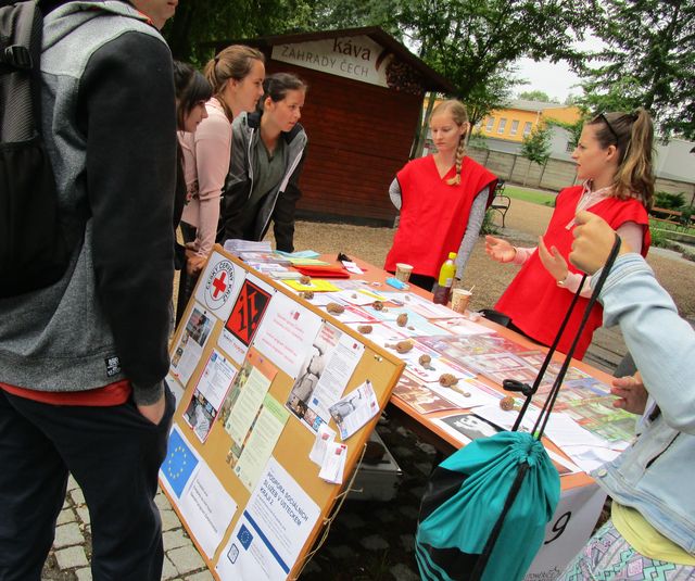 "Do života bez karambolů"