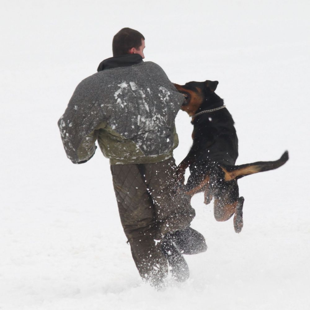  secvicna psovodi zlin_57.jpg