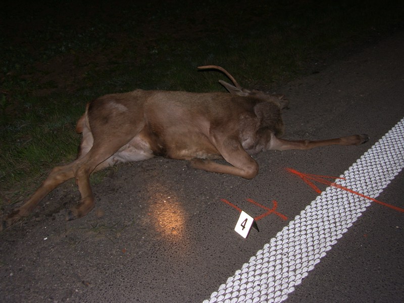 05.jpg