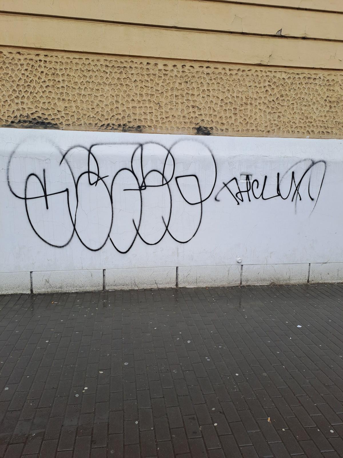 1 Foto sprej1.jpg
