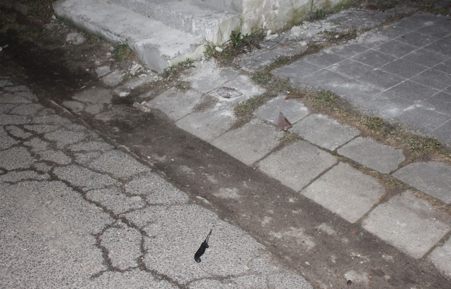 1 Foto_1.jpg