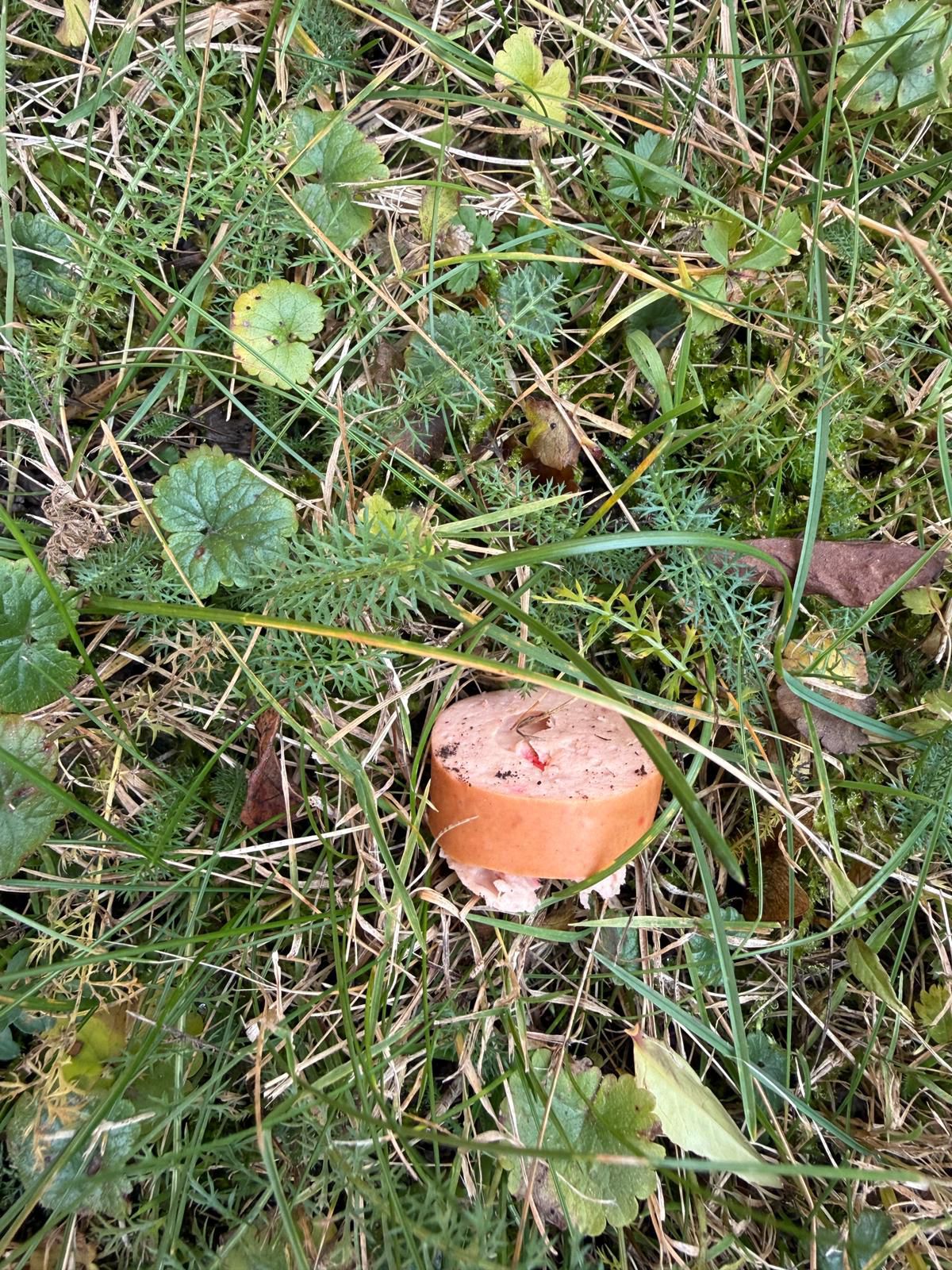 1 Nalezená uzenina (1).jpg