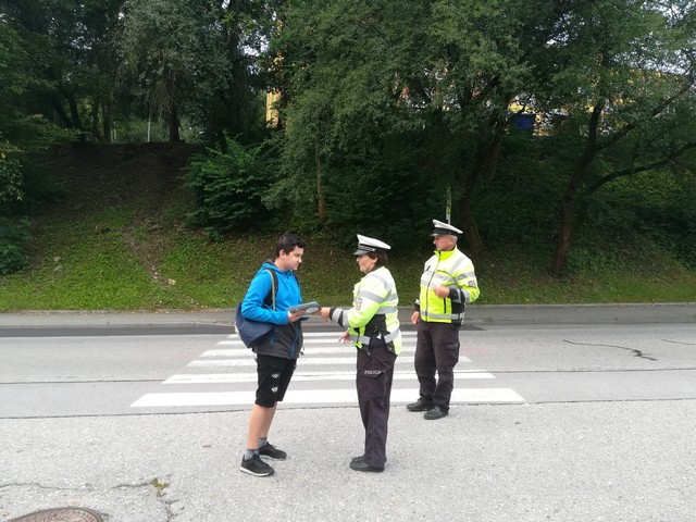 1 Zebra Č. Krumlov září 2020.jpg