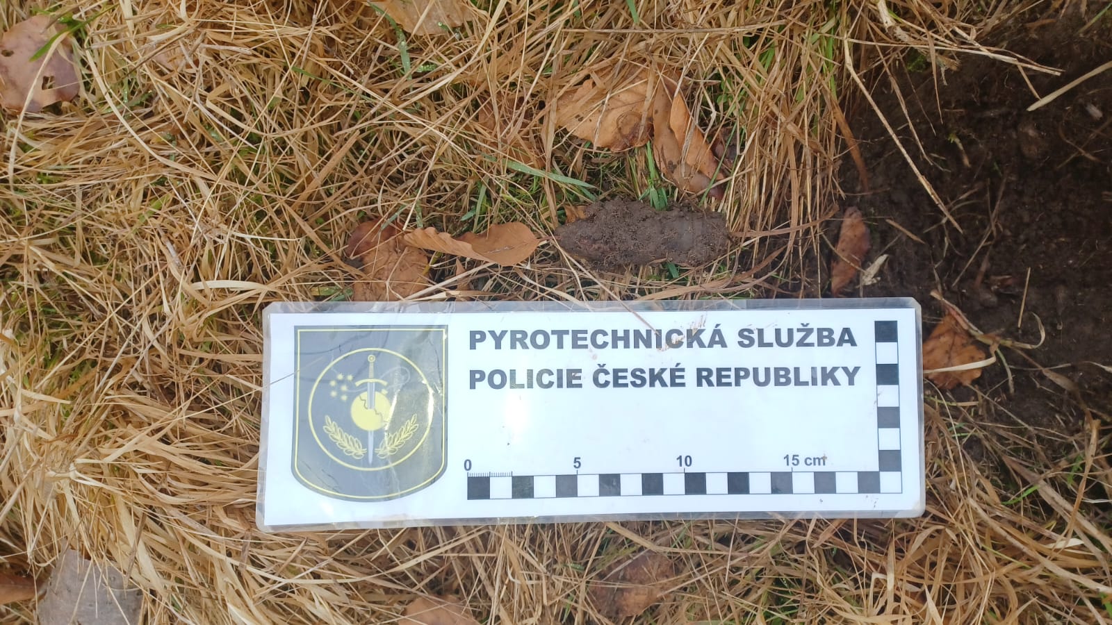 1 puškový granát.jpg