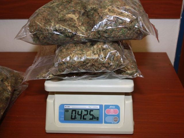 1 zajistena marihuana Horni Becva