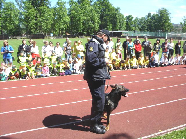 10.JPG