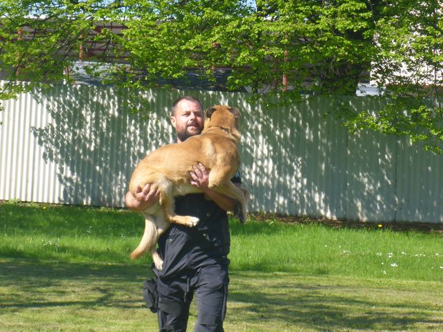 11 OOP Kaplice 17.5.2017 Prevence trochu jinak 11.JPG